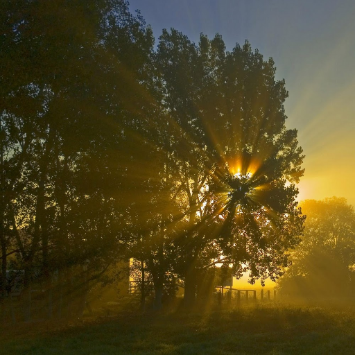 ric1087's profile picture. Recordad que a lo largo de la historia, siempre ha habido poderosos, y por un tiempo, han parecido invencibles. Pero siempre han acabado cayendo. Gandhi
