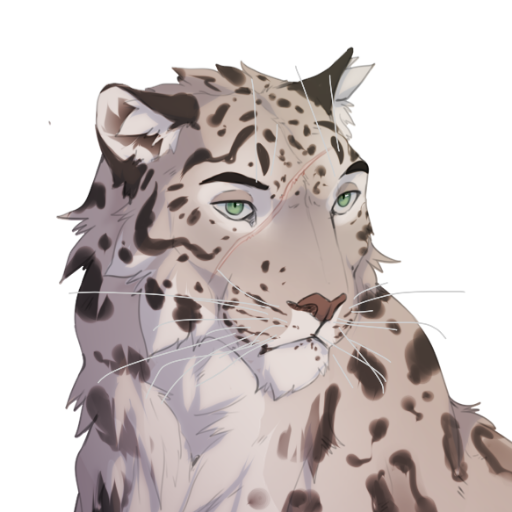 Lin Lin 🐆さんのプロフィール画像