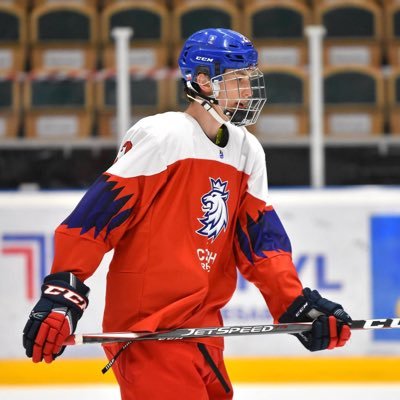 Czech ice hockey player 🏒, Cornell University