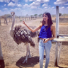 shivugoel's profile picture. Machine Learning - Natural Language Processing - Grad student at Columbia University. @ColumbiaCompSci
