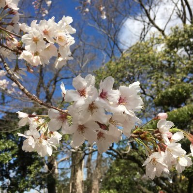 戸建住み 道路族の迷惑行為に毎日イライラしてます💢身バレ防止の為定期的に鍵垢にしてます💦無言フォロー失礼します。