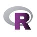 R-Ladies Highland Park (@rladieshpnj) Twitter profile photo