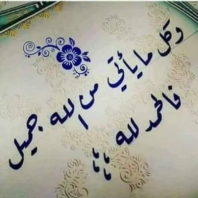 P4n2Ee4CVPcIFzC's profile picture. 