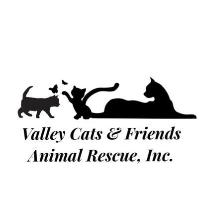 ValleyCats&FriendsAnimalRescue Animal rescue providing fostering, care and furever homes to animals in need.