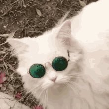 timedstone's profile picture. -𝘤𝘢𝘯 𝘺𝘰𝘶 𝘴𝘦𝘦 𝘵𝘩𝘦 𝘮𝘰𝘰𝘯? ⠀