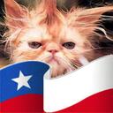 Julio José Alamos - @jjalamosa - Twitter