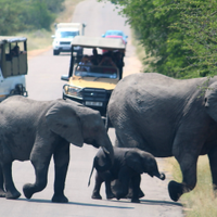 Africa Moja Tours and Safaris(@africamojatours) 's Twitter Profile Photo