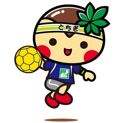 栃木県ハンドボール協会ツイッターアカウントです。