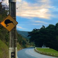 WainuiomataUn-Cleanfill (@wcleanfill) 's Twitter Profile
