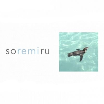 soremiruさんのプロフィール画像