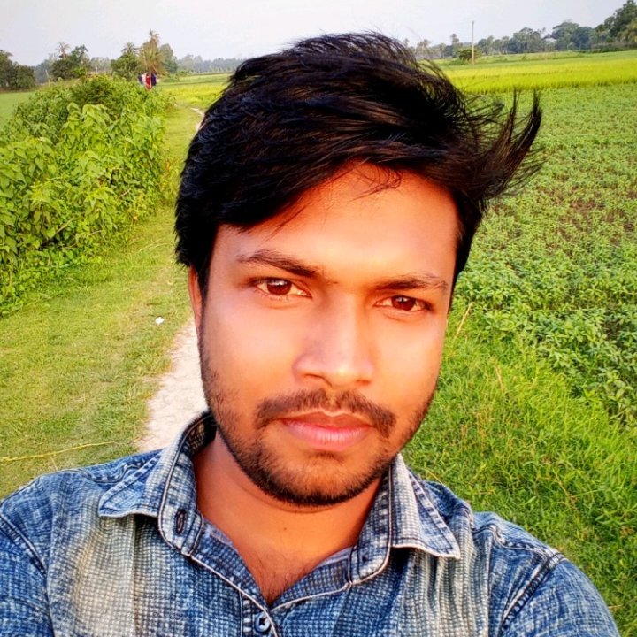AtalHossain2's profile picture. 
