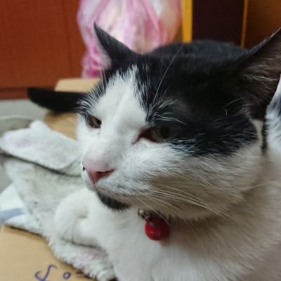 s8282a88's profile picture. 