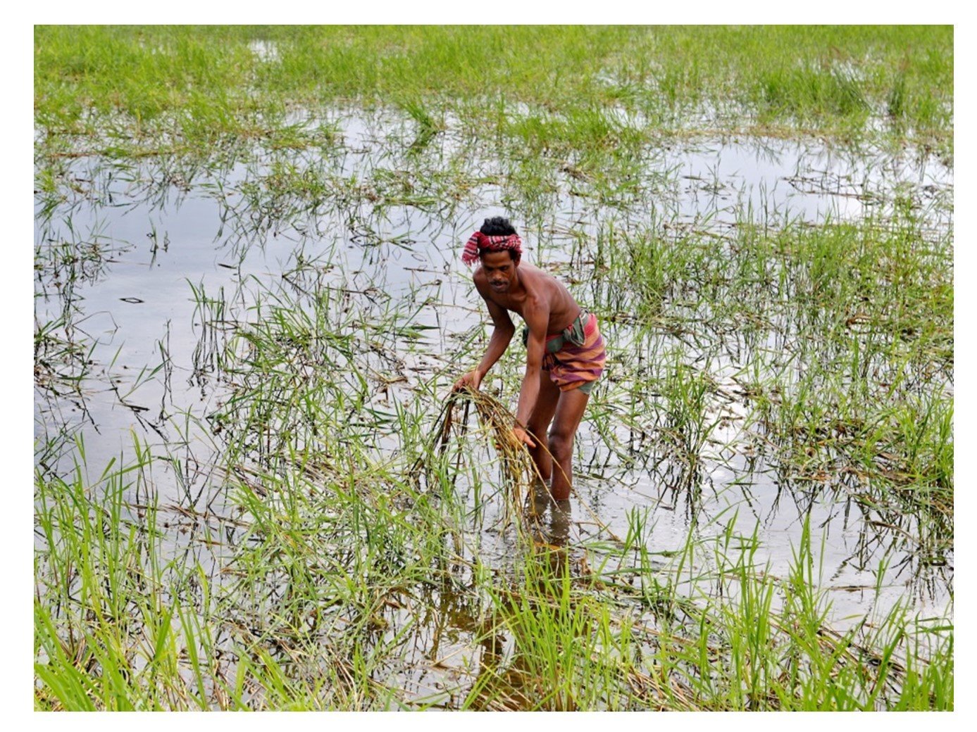 DurhamGCRFCDT's profile picture. The Durham Global Challenges Center for Doctoral Training: working together to build a better future for everyone @durham_uni @GCRF
