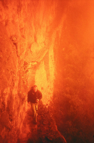 blingscholes's profile picture. Options and opinions