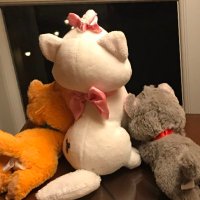 そらみ そらみ (@sorami396) • Instagram photos and videos