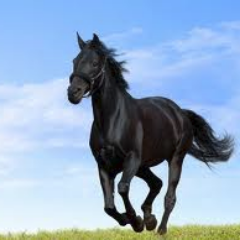 syurororon's profile picture. Vtuber楽曲オンリーDJイベントWrite The Future!(らいふゅ)主催の一部
鎖那(sana)、ボカロ、ルイ友、飼育員、ね組、塩っ子、真っす組、PEMALOE、ROSARIANS、V.W.P観測者、ホロライブ箱推し、🐍💮🌙🎣