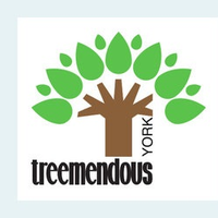 TreemendousYork(@TreemendousYork) 's Twitter Profileg