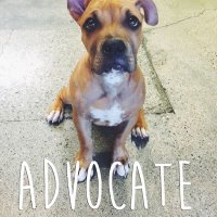 Your Pets Need You(@BeYourPetsVoice) 's Twitter Profile Photo