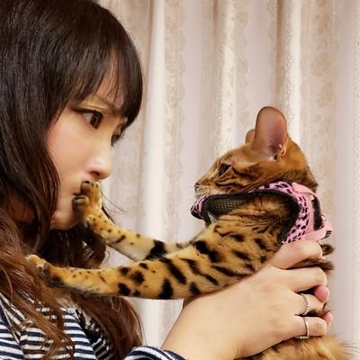 宇和川 恵美@ハリウッド式音声学ボイトレ実施中🐱さんのプロフィール画像