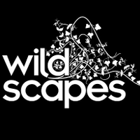 Wildscapes CIC (@wildscapes) 's Twitter Profile Photo