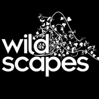 Wildscapes CIC(@Wildscapes) 's Twitter Profile Photo