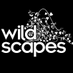 Wildscapes CIC (@Wildscapes) Twitter profile photo