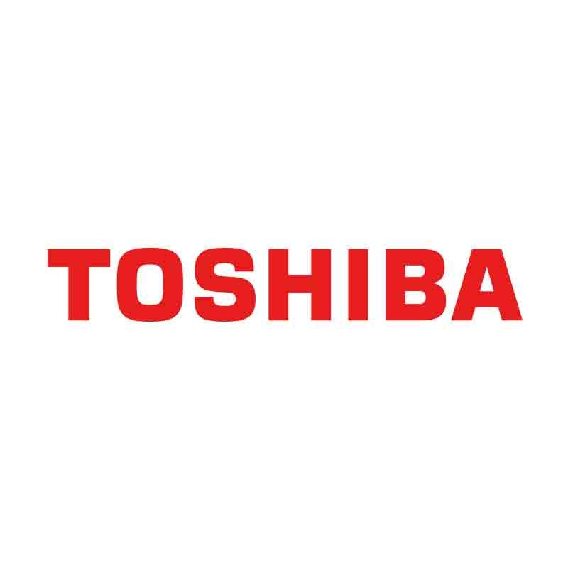 Toshiba is one of the first brands to bring the inverter revolution in air conditioners in India.