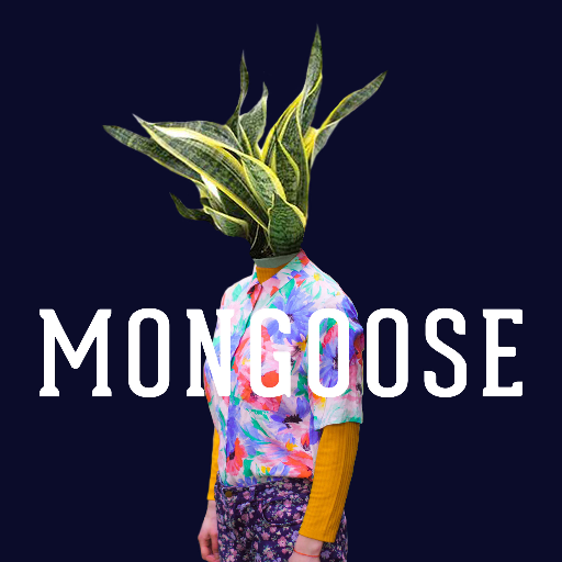 MongooseTunes's profile picture. Tumbling folk-pop. Four women and their respective noise-makers. A musical melty-pot. Enjoy Mongoose responsibly.
