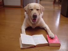 学びを愛する陽気な犬。神奈川県のはじっこにある「第二の家」がすみか。ほぼ毎日ブログ(https://t.co/K1yyJuLy1v)更新。最近割とYouTube(https://t.co/qhZ1qeDt7q)更新。勉強犬の部屋LINE(https://t.co/qwIyTOtQdq)で情報共有。読書と植物が好き。目と鼻の先に駅できるみたい。