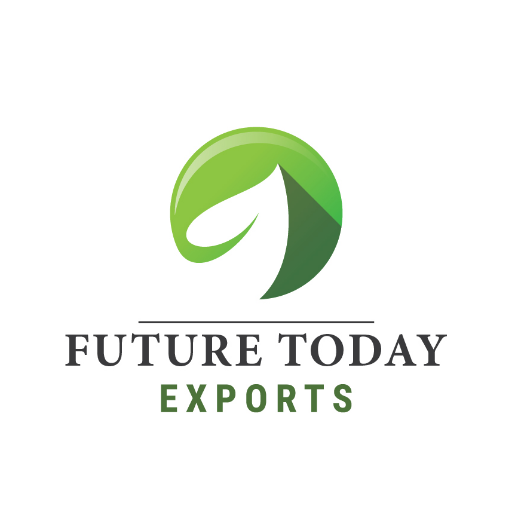 Our company FUTURE TODAY EXPORTS was started by Mr.Muruganantham and Mr.Balaji. With the sound knowledge in agricultural business over a decade.