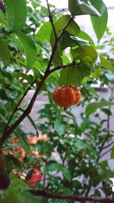 Prajna25973195's profile picture. 