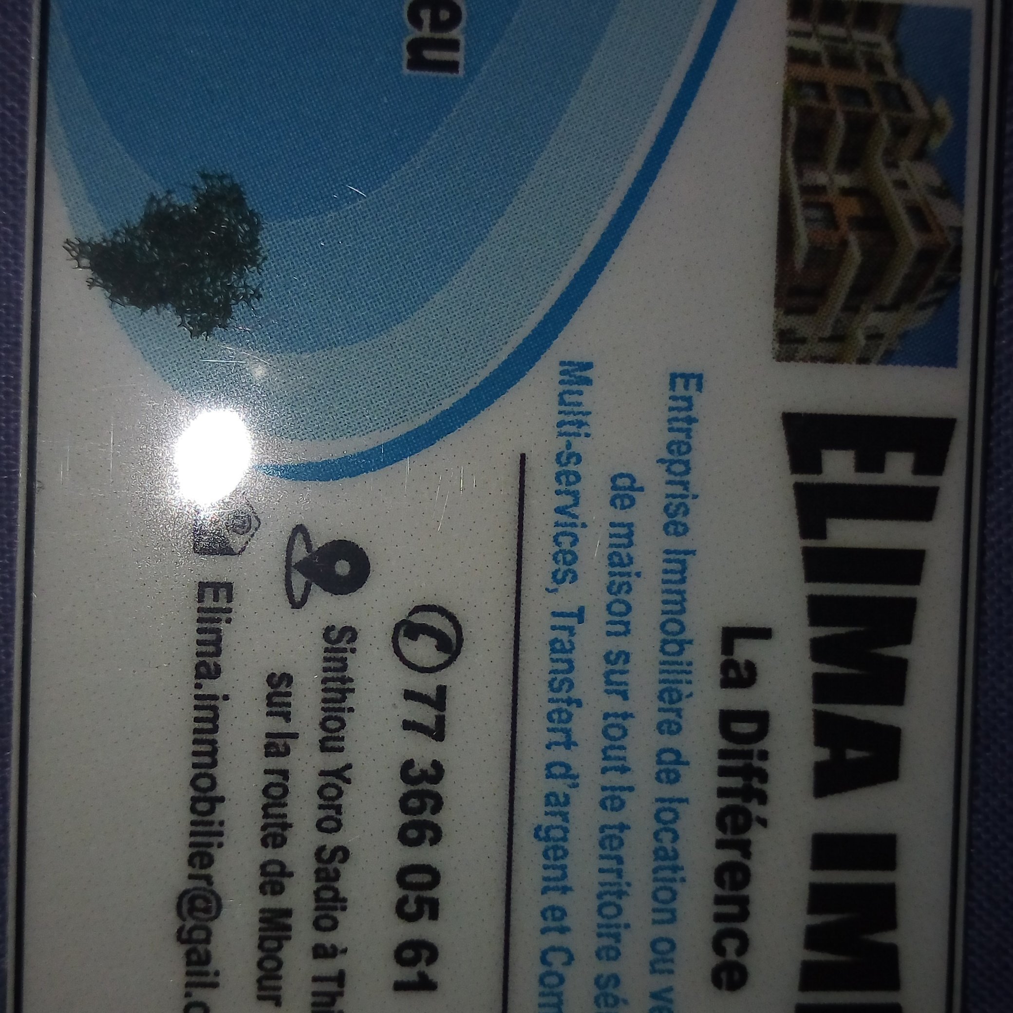 ElimaImmo's profile picture. 