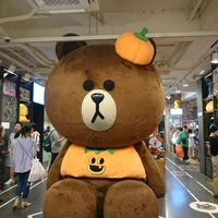 Chikae Sakamoto (@chikaesakamoto) 's Twitter Profile