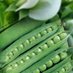 Jas seeds world (@jasseeds) Twitter profile photo Jas seeds world (@jasseeds) Twitter profile photo