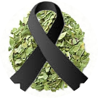 Origanum_vulgar's profile picture. あざらしっぽいあざらし( ´-ω-)y‐┛~~-------------
料理人崩れです