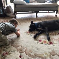 WillyC (@c1231will) 's Twitter Profile