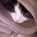 Still Got Manners blog (@lorrainesblog) Twitter profile photo Still Got Manners blog (@lorrainesblog) Twitter profile photo