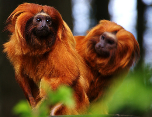 hmverbeek's profile picture. 