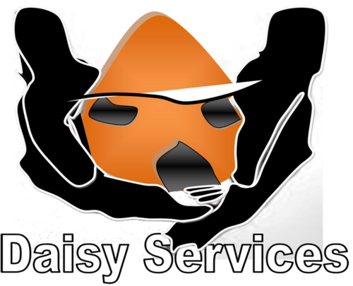 Vous recherchez une nounou Une personne de confiance pour vous aider dans vos tâches ménagères  à domicile faite appel à daisy services