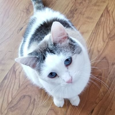 kdkaletta's profile picture. 