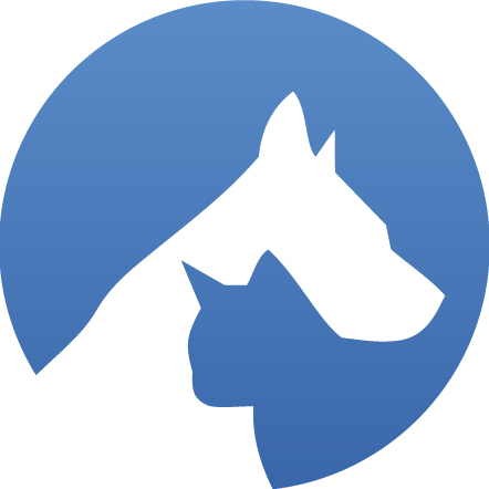 gr8creatures's profile picture. 