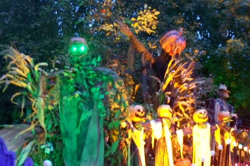 Home Haunt located in the Chicago suburb of Carol Stream