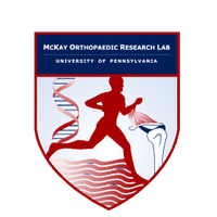 McKay Orthopaedic Research Laboratory(@McKayLaboratory) 's Twitter Profile Photo