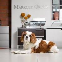 Markley (@markleyboston) 's Twitter Profile Photo Markley (@markleyboston) 's Twitter Profile Photo
