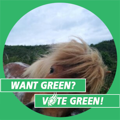 Want Green, Vote Green
#andacyclist