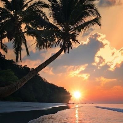 thorne_nelson's profile picture. life is like a glow Stick sometimes you have to break before you shine