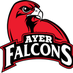 Ayer Elementary (@ayerelementary) Twitter profile photo