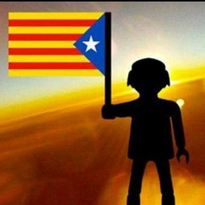 RogerDomenechs's profile picture. .