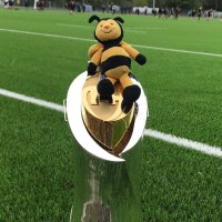 Auchinleck Rugby(@EACAuchRugby) 's Twitter Profile Photo