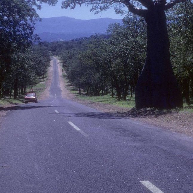 ChrisZim4's profile picture. I teach, tutor, watch videos & also enjoy listening to my favorite music